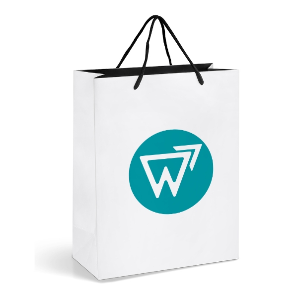 Picture of Altitude Dazzle Maxi Paper Gift Bag
