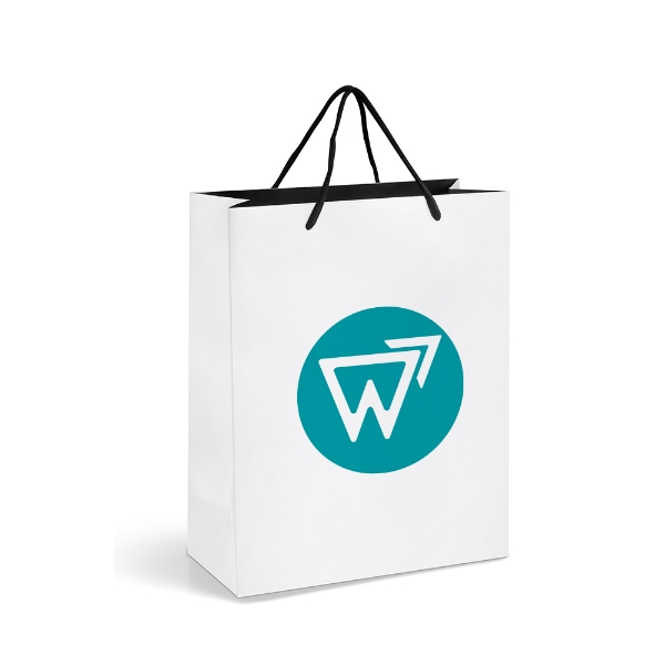 Picture of Altitude Dazzle Midi Paper Gift Bag